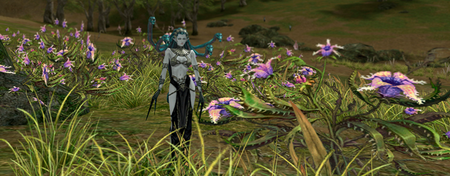 Gorgon Flower Garden